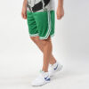 Ανδρικές Βερμούδες Σορτς  Nike Boston Celtics Icon Edition Swingman Nba Shorts (9000015323_29242)