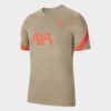 Ανδρικά T-shirts  Nike Lfc Mnk Df Strk Top Ss (9000080980_53595)
