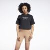 Γυναικείες Μπλούζες Κοντό Μανίκι  Reebok Classics Big Logo Γυναικείο T-Shirt (9000083650_1469)