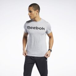 Ανδρικά T-shirts  Reebok Sport Graphic Series Linear Logo Ανδρικό T-shirt (9000083512_7747)