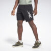 Ανδρικές Βερμούδες Σορτς  Reebok Sport Workout Ready Graphic Ανδρικό Σορτς (9000069246_1469)
