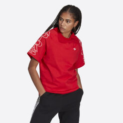 Γυναικείες Μπλούζες Κοντό Μανίκι  adidas Originals Loose Γυναικείο T-shirt (9000086750_15065)