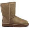 Γυναικείες Μπότες  Μπότες UGG UGSCLSHCK1016223W